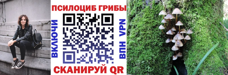 дарк нет наркотические препараты  Чита  Псилоцибиновые грибы прущие грибы  mega онион 